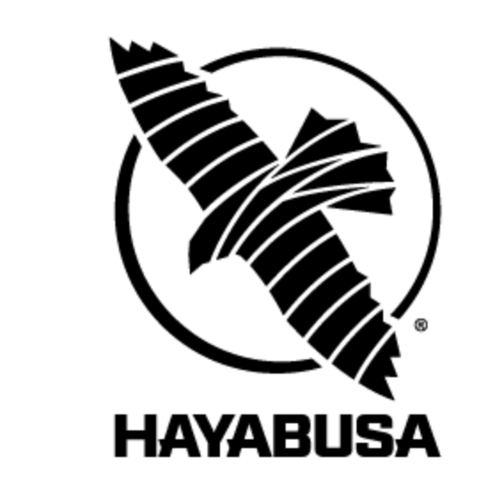 Hayabusa 